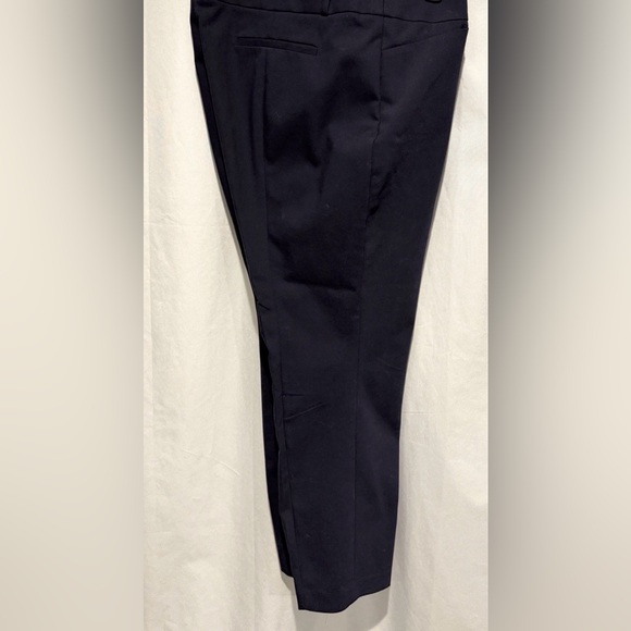 LOFT Womens Plus Size 22 Marisa Skinny Flat Front Button Zip Navy Pocket Pants - Picture 5 of 8